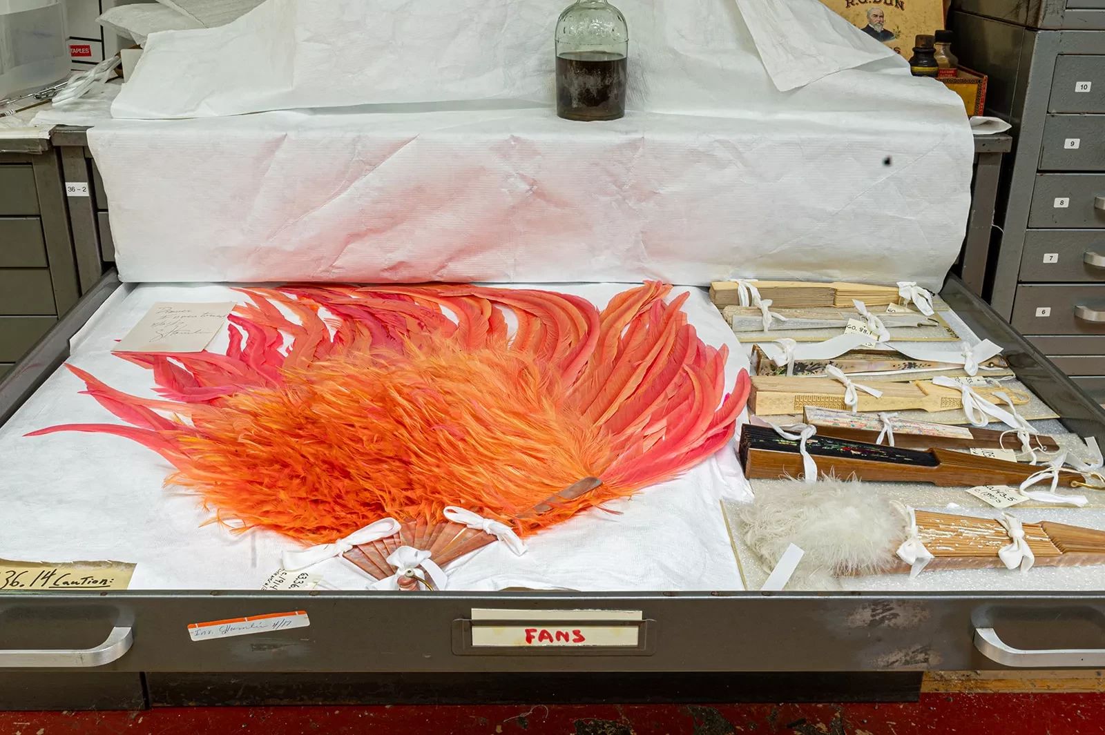 Bright orange and red ostrich feathers in a drawer with papers and wooden items.